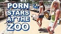BANGBROS Sexy Pornstars Invade Famous & Fuck Keeper
