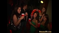 Party Sweet Babe Sucking And Fucking Slut
