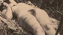 Dark Lantern Entertainment Presents '100 Years Of Sex In Nature'