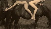 Vintage Pussy & Pooch